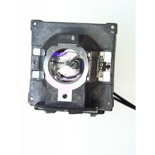 Projector Lamp BENQ 5J.J2D05.001