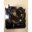 Projektorlampe PANASONIC ET-LAD10000