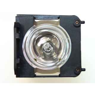 Projektorlampe LIESEGANG ZU1202 04 4010