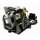 Projector Lamp TOSHIBA F1LAMP